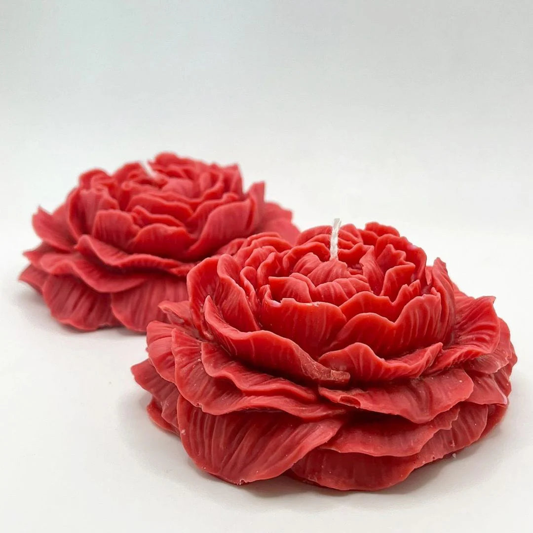 Peony Petals - Pure Luxury